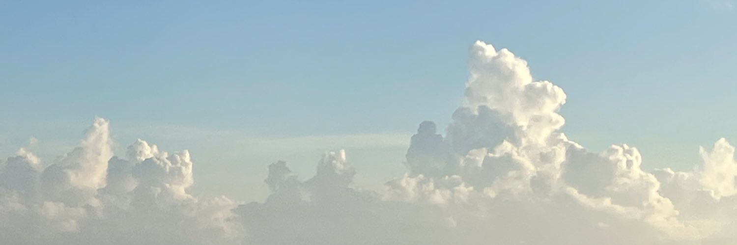 wp8mgd's profile banner image