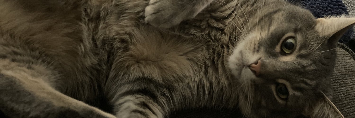 krisykin's profile banner image