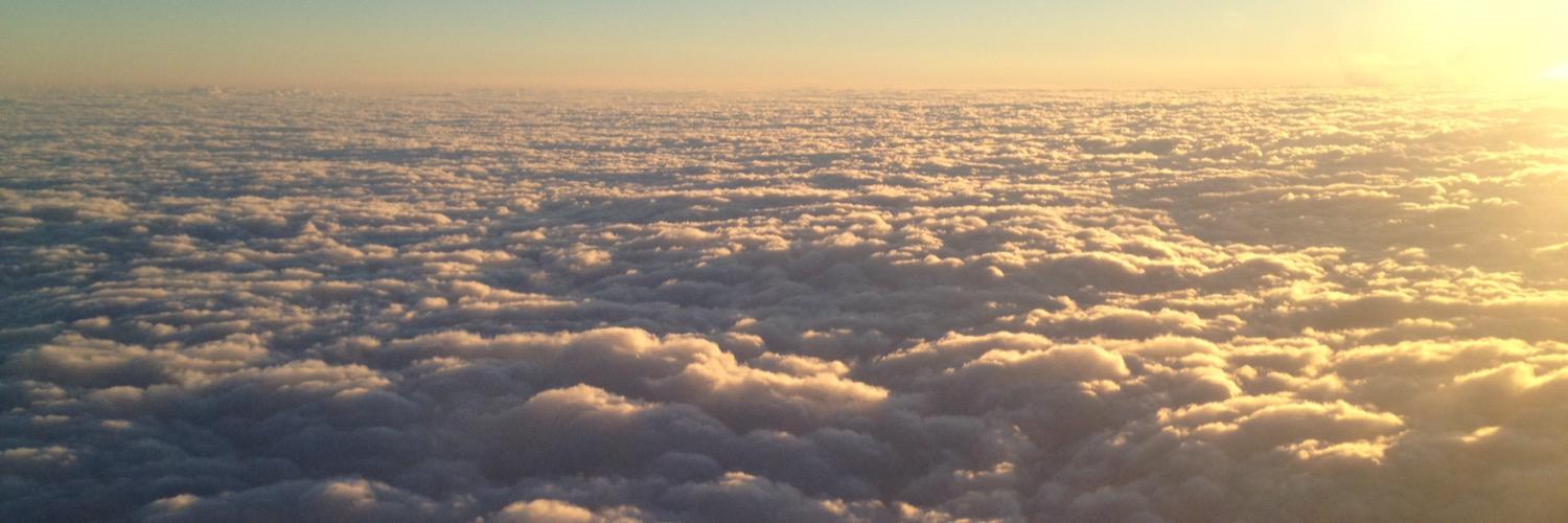 Annette Magnus banner