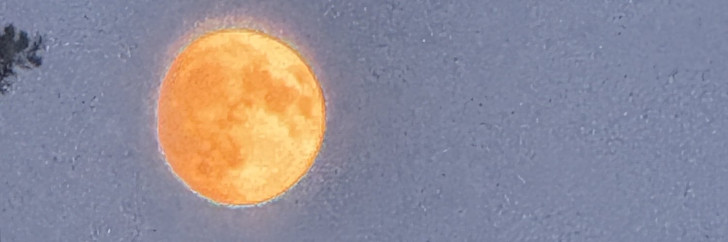 Polak Normalny banner