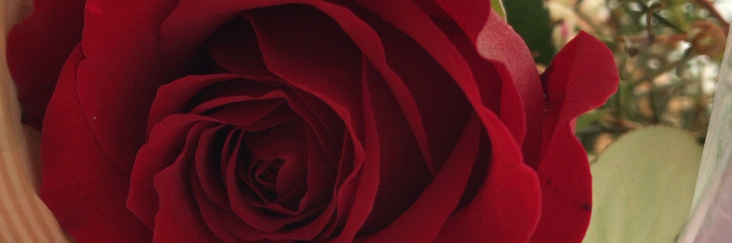 Miriosky's profile banner image