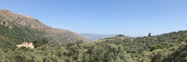 Nadimeljamal Profile Banner