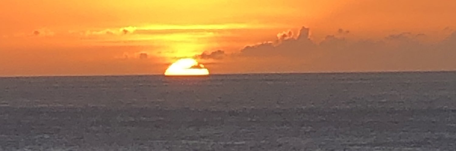 devvyd12's profile banner image