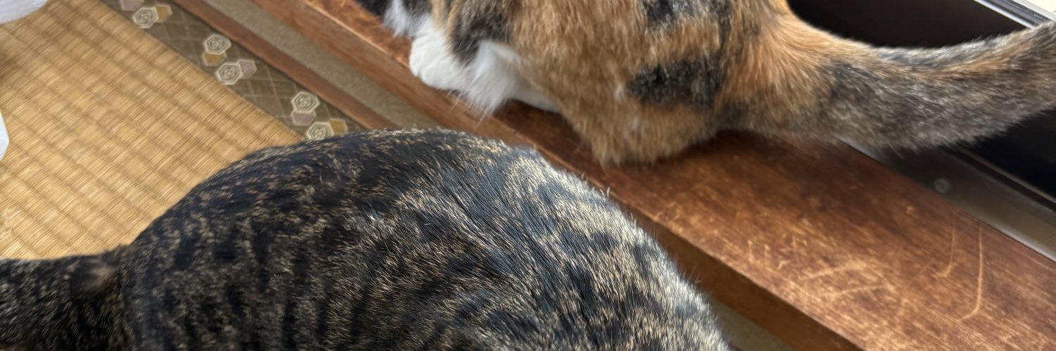 にゃんカス banner