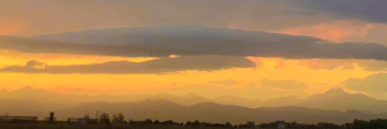 Michaela Mendygral banner