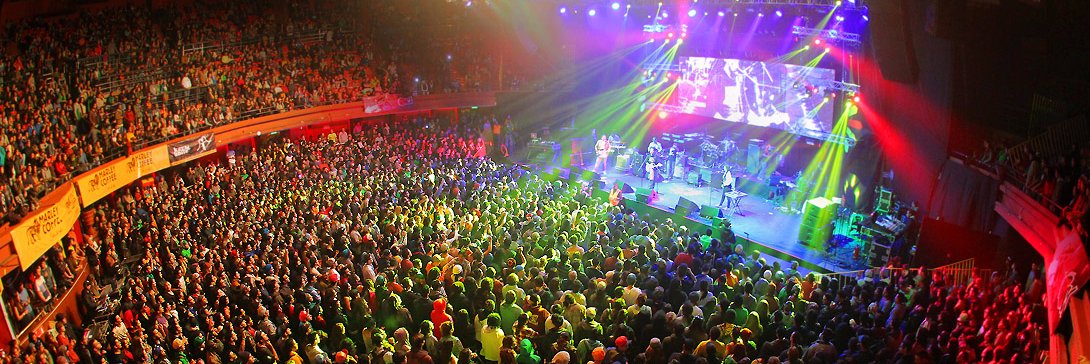 Movimiento Reggae LA banner