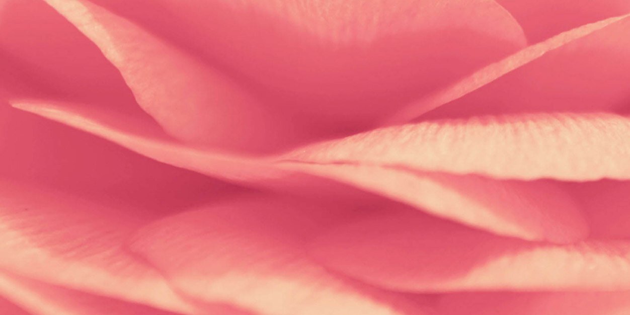 BosMaud's profile banner image