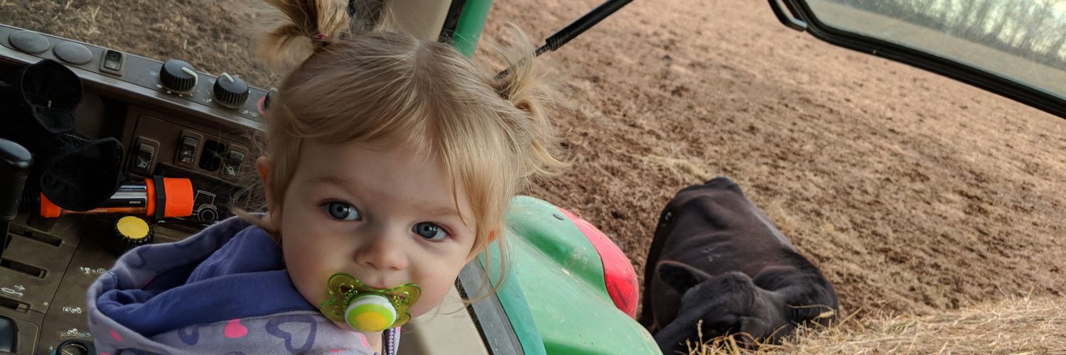 Wendy Lofton Sneed banner