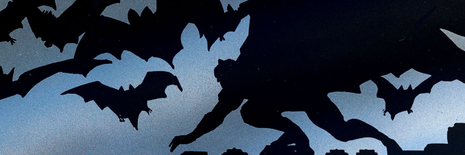 Batman banner
