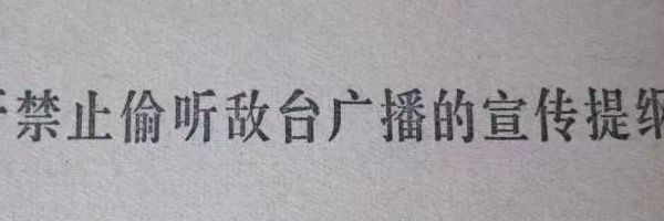 feizhu's profile banner image