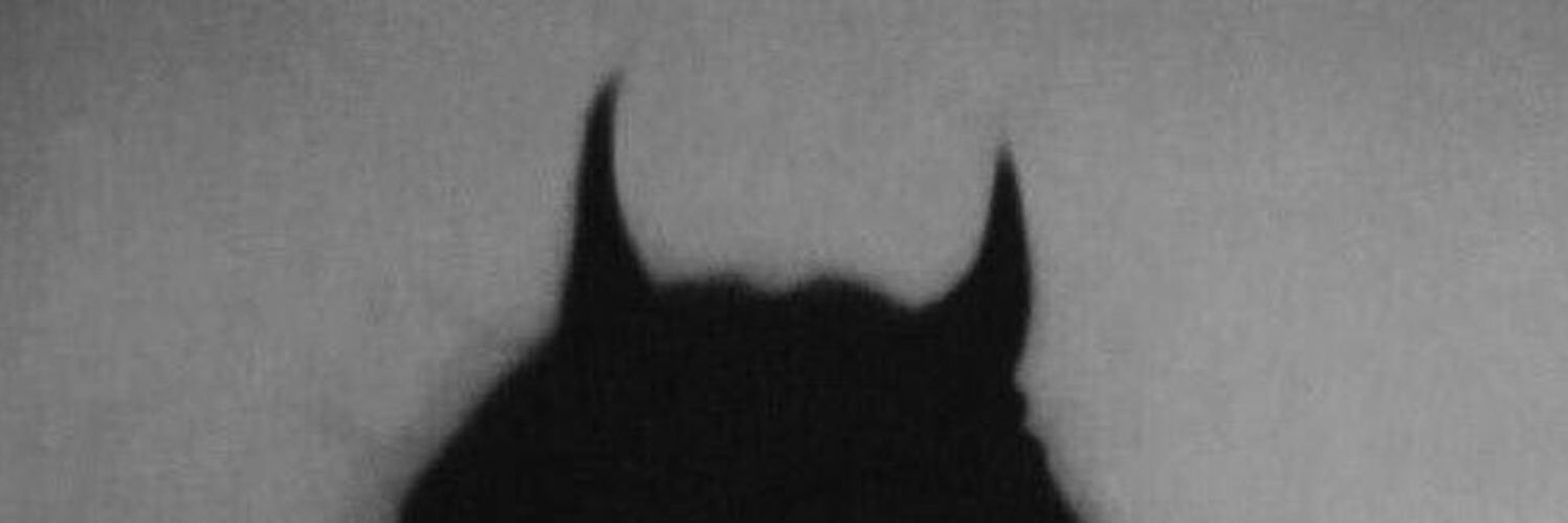 MaraCastillo5's profile banner image