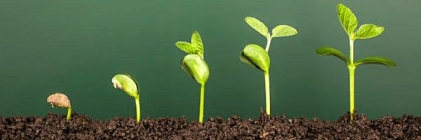 OrganicInsure Profile Banner