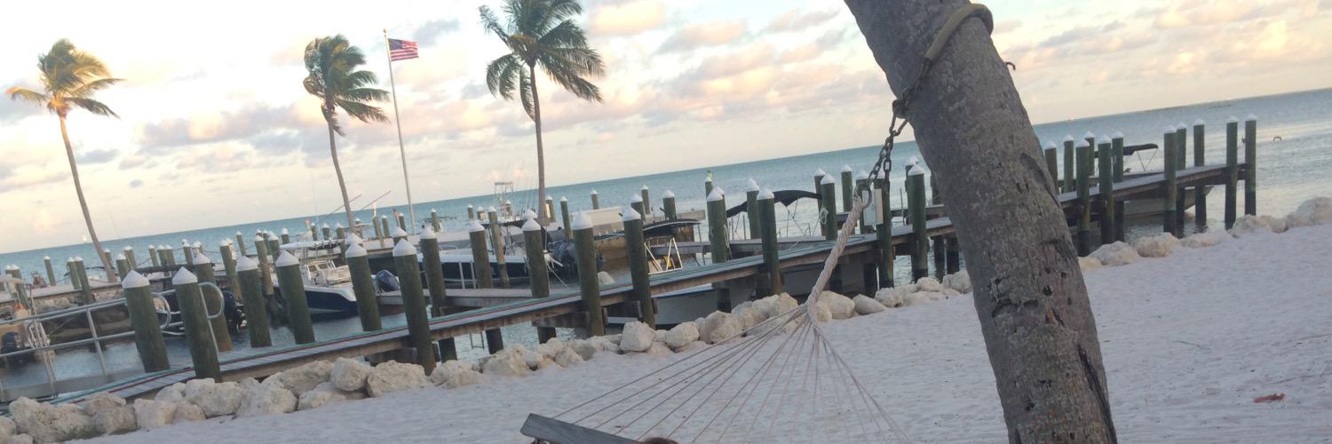 PinkFishingLine's profile banner image