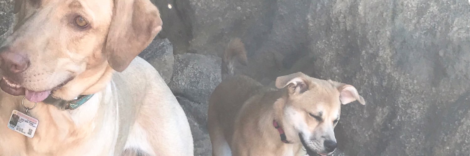 KyleLEEtrey3's profile banner image
