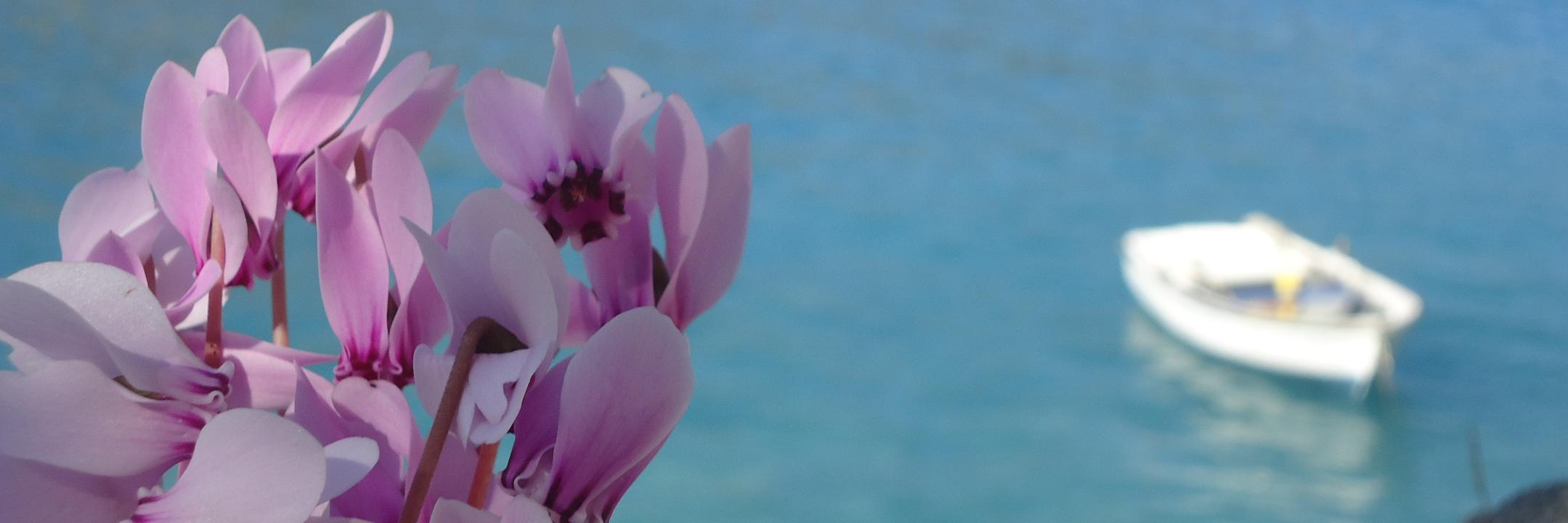 GoldyCh1's profile banner image