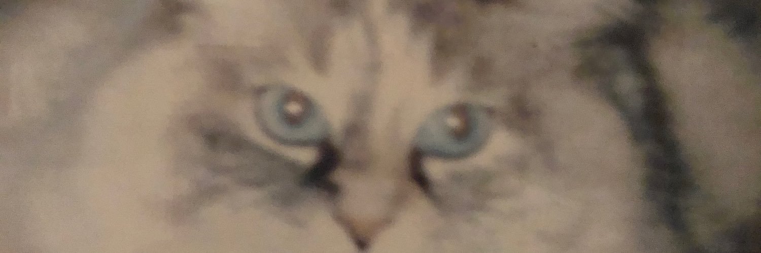 amoreanimales's profile banner image