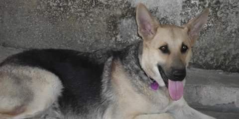 thangrande's profile banner image