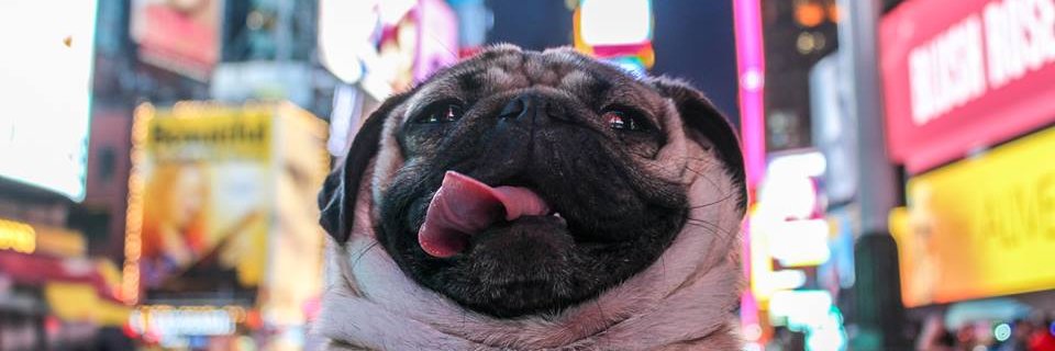 Nlgddi's profile banner image