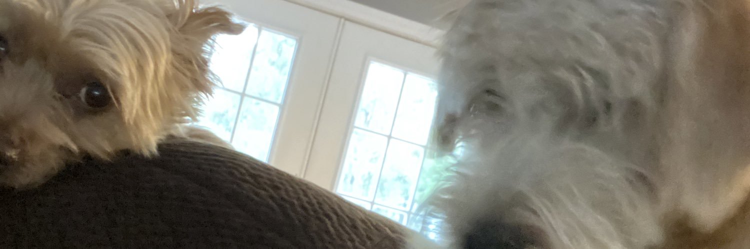 sdlee10's profile banner image