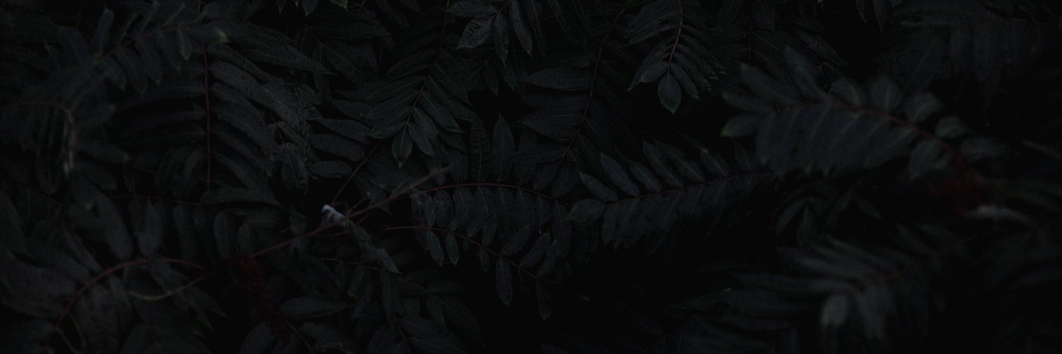 murilobitt's profile banner image