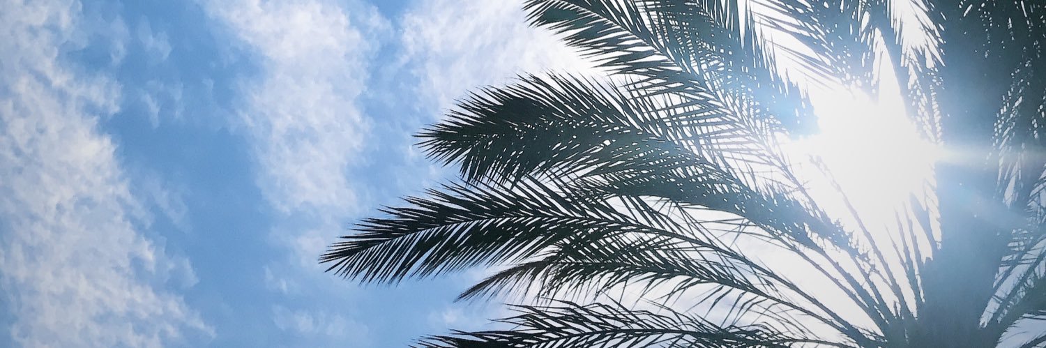 Kayyy_Rae's profile banner image