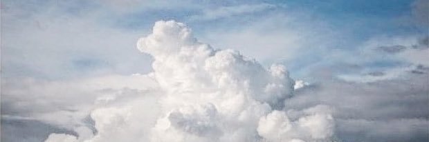 jennigrant's profile banner image