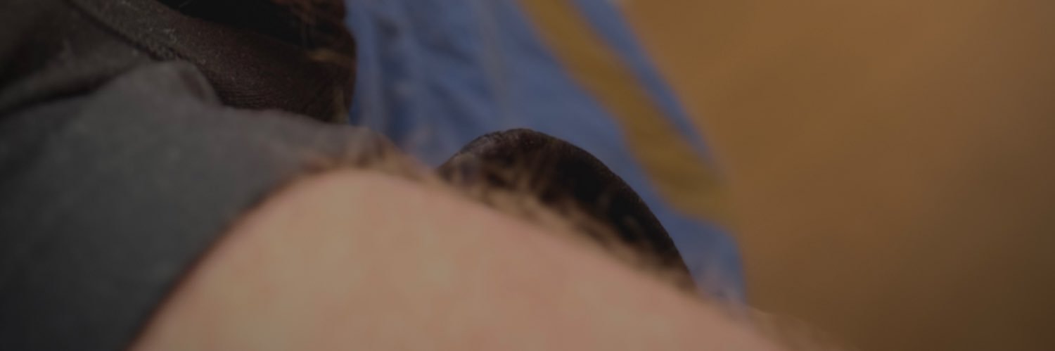 ausjack70's profile banner image
