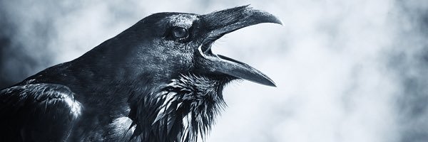 pibchuckT's profile banner image
