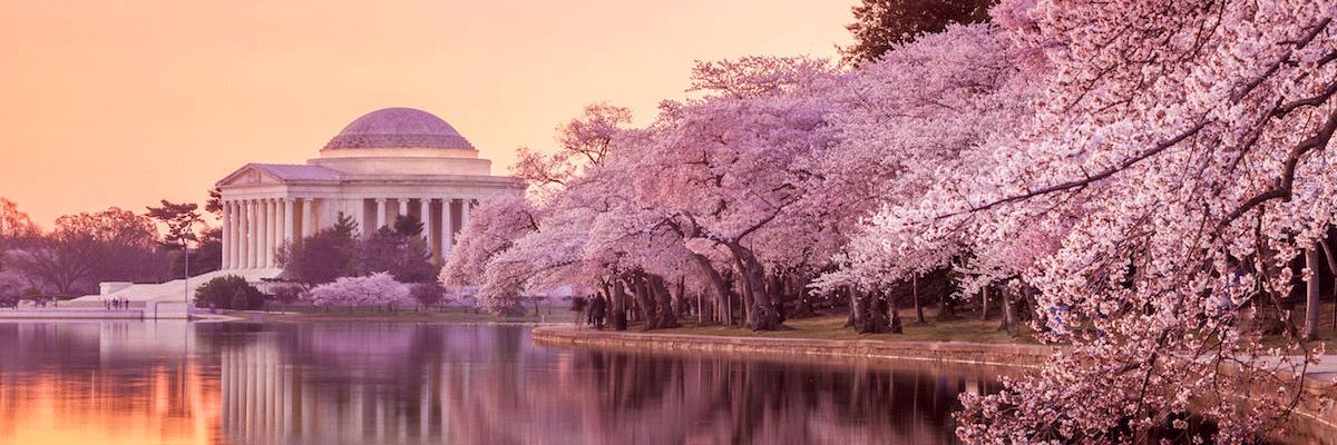 DCADeaf's profile banner image