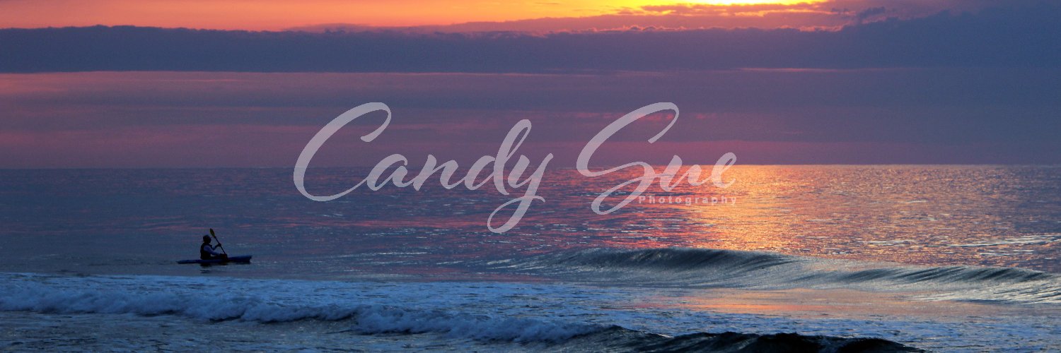 CandySueC's profile banner image