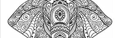 UDialect's profile banner image