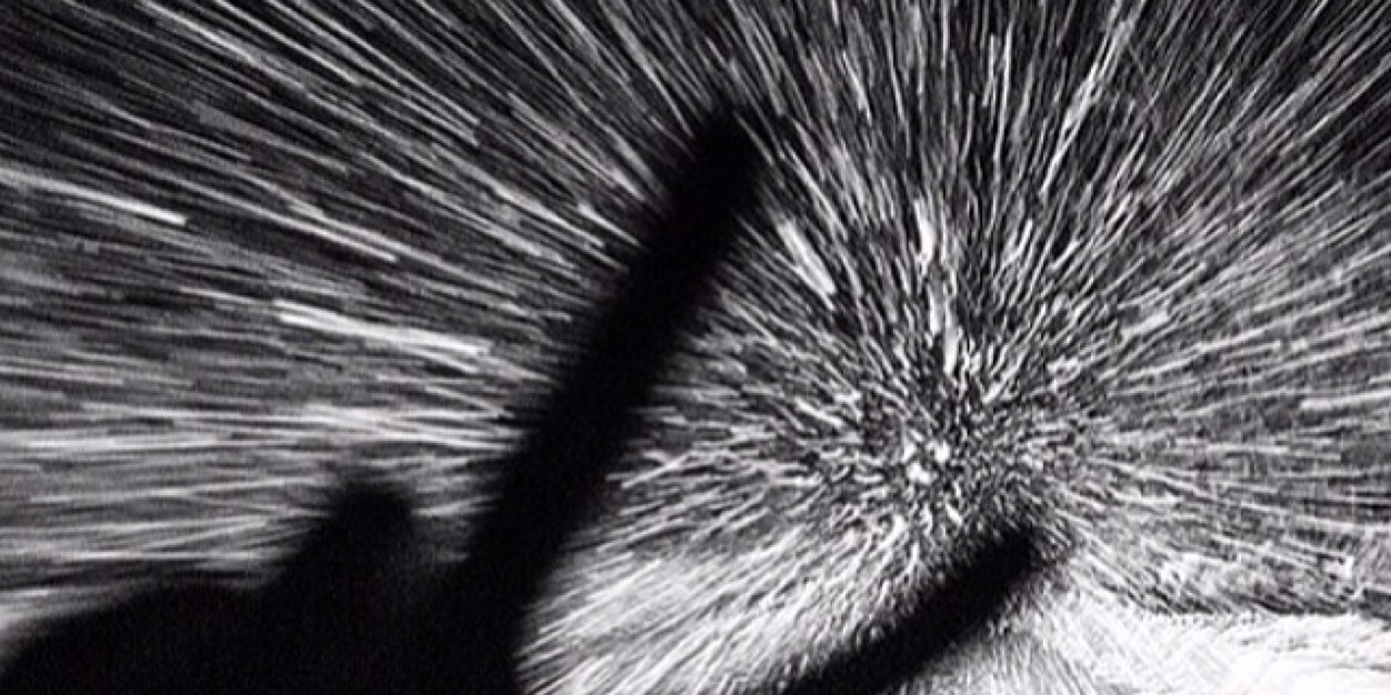 TripPrindle's profile banner image
