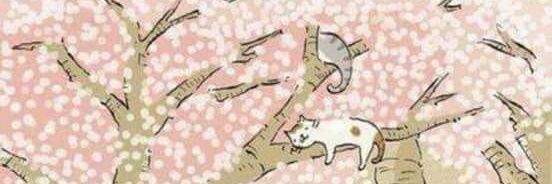 trotsai's profile banner image