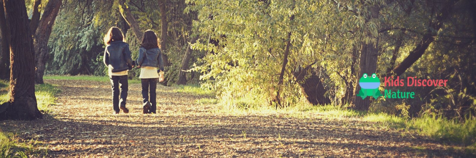 KidsDscvrNature's profile banner image