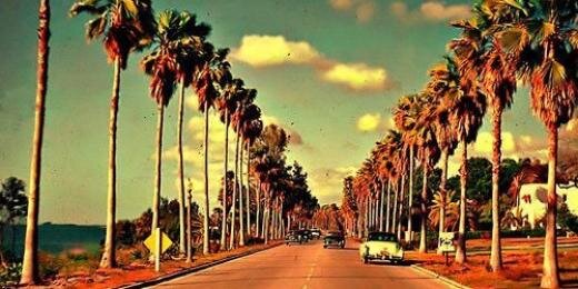 elisacoco94's profile banner image