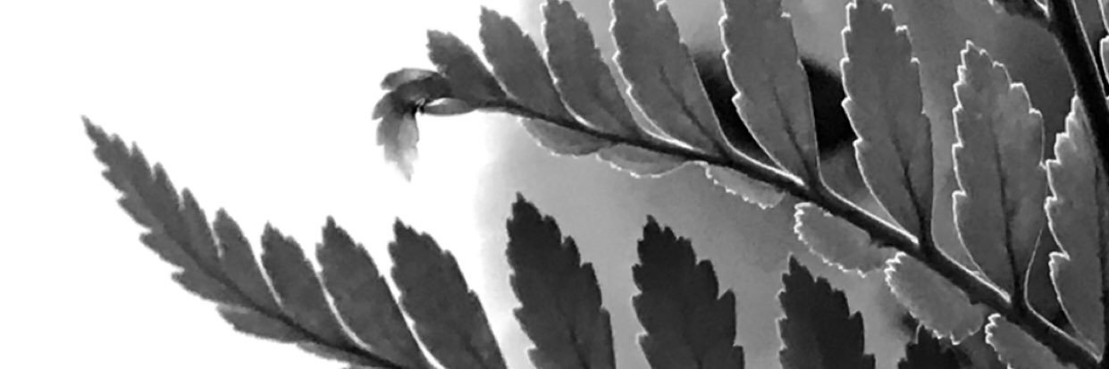 Salwa1102's profile banner image