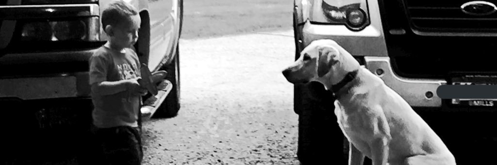 jgruber14's profile banner image