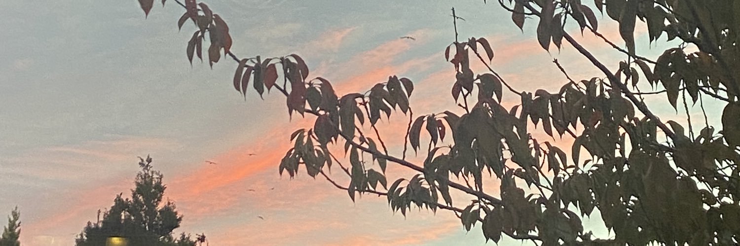 babs🌻 banner