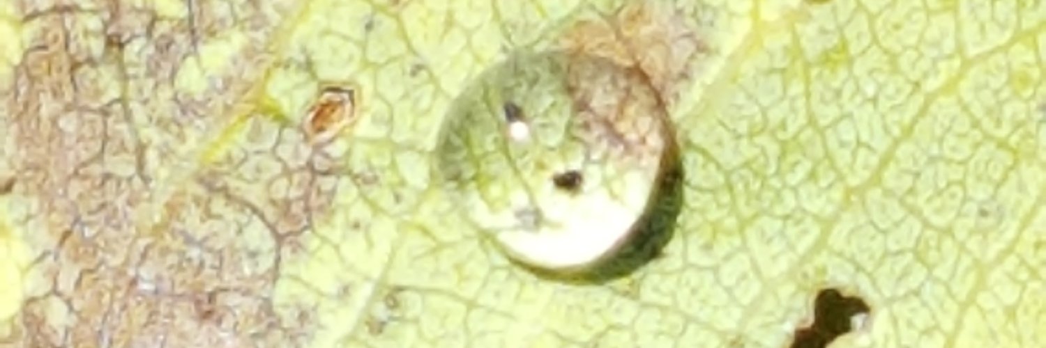 MEH_82's profile banner image