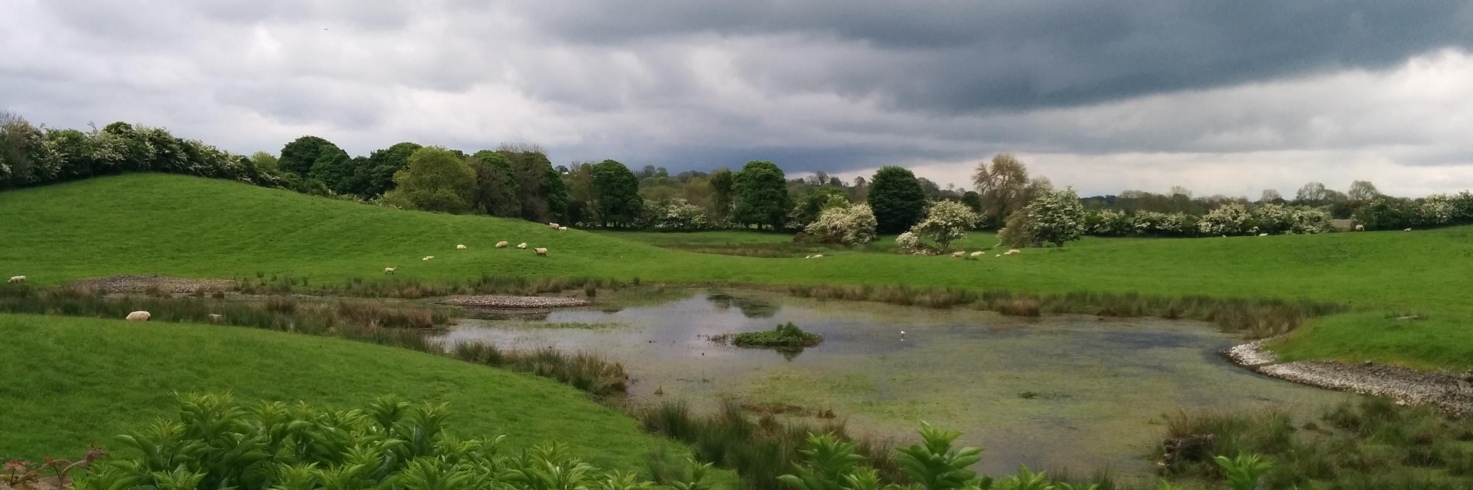 the real blake banner