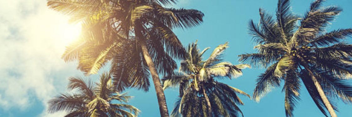 PhilipSzu's profile banner image