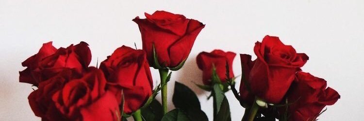 jessicaribass's profile banner image