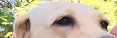 fatimartinezd_'s profile banner image
