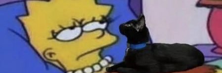 daisytweeted's profile banner image