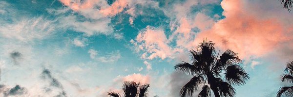zorro_wang Profile Banner