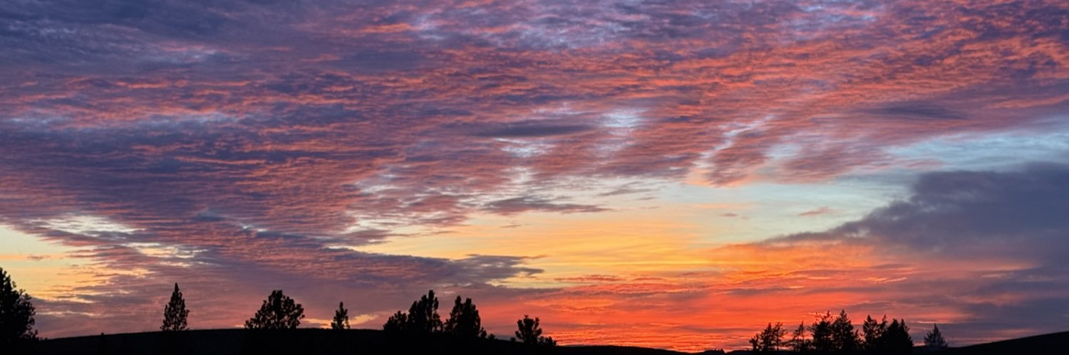 everything is romantic✨- 🍉 banner