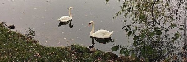 midnightlovc_ Profile Banner