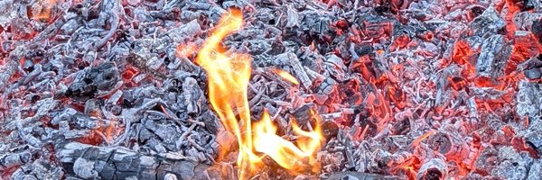 bob__jacques Profile Banner