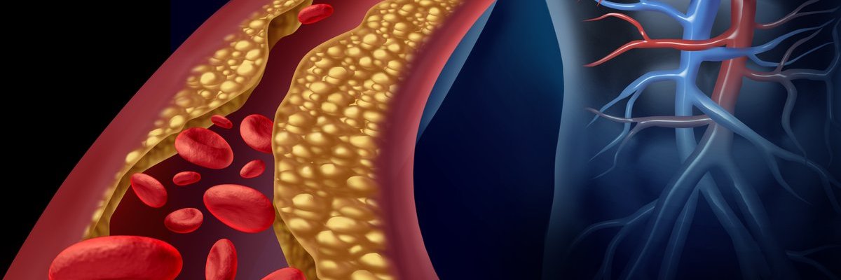 CCASIXTINO's profile banner image