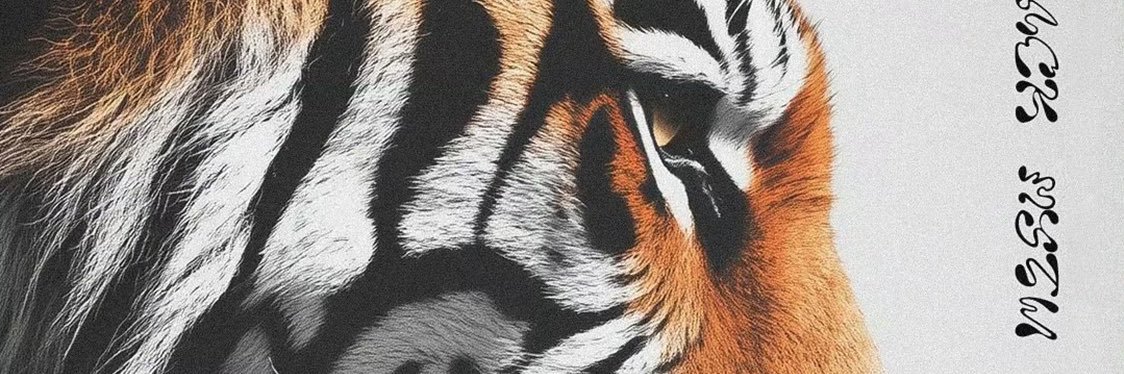WonaiBaris's profile banner image